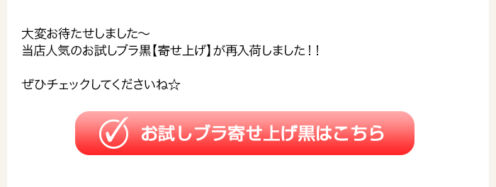 >お試しブラ寄せ上げ黒はこちら