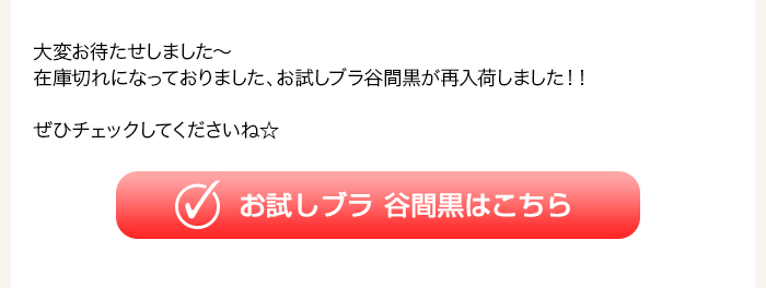 > お試しブラ谷間黒はこちら